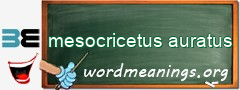WordMeaning blackboard for mesocricetus auratus